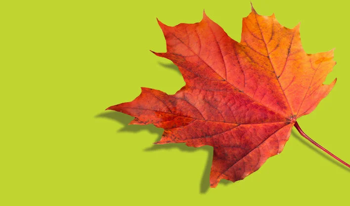 Shop Canadian with ease